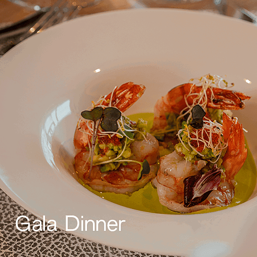 Gala Dinner