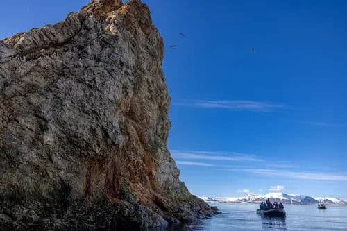 Cruise from Iceland to Greenland
